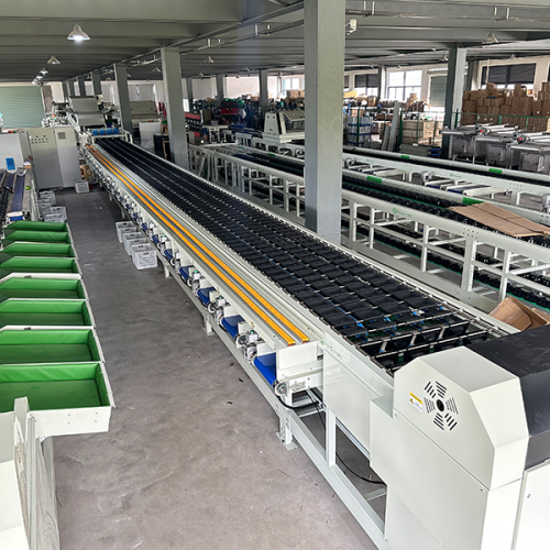 bell pepper sorting machine bell pepper sorting machine