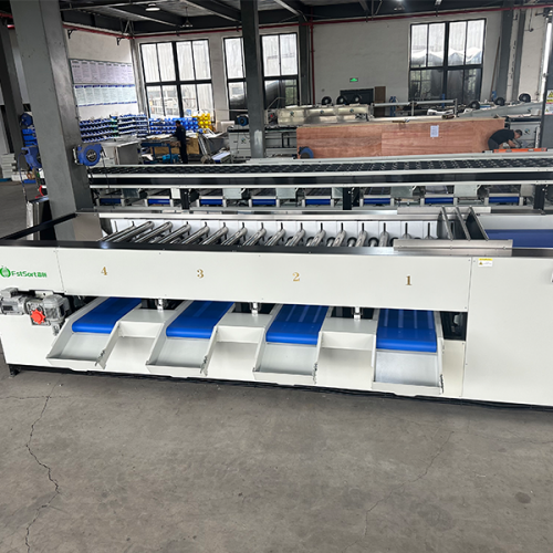 onion roller sizer onion roller sizer